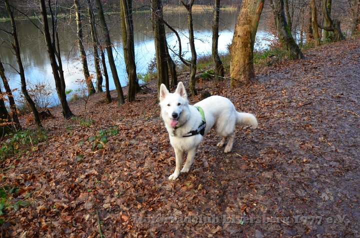 Wandertag 2012 - 080.JPG